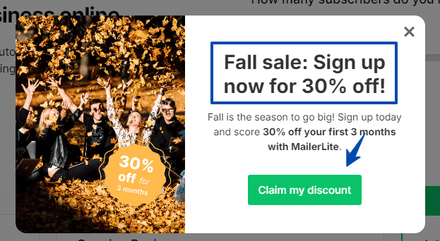 MailerLite Promo Discount